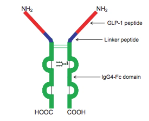 Is peiptíd glucagon cosúil le glucagon -1 é DULAGLUTIDE